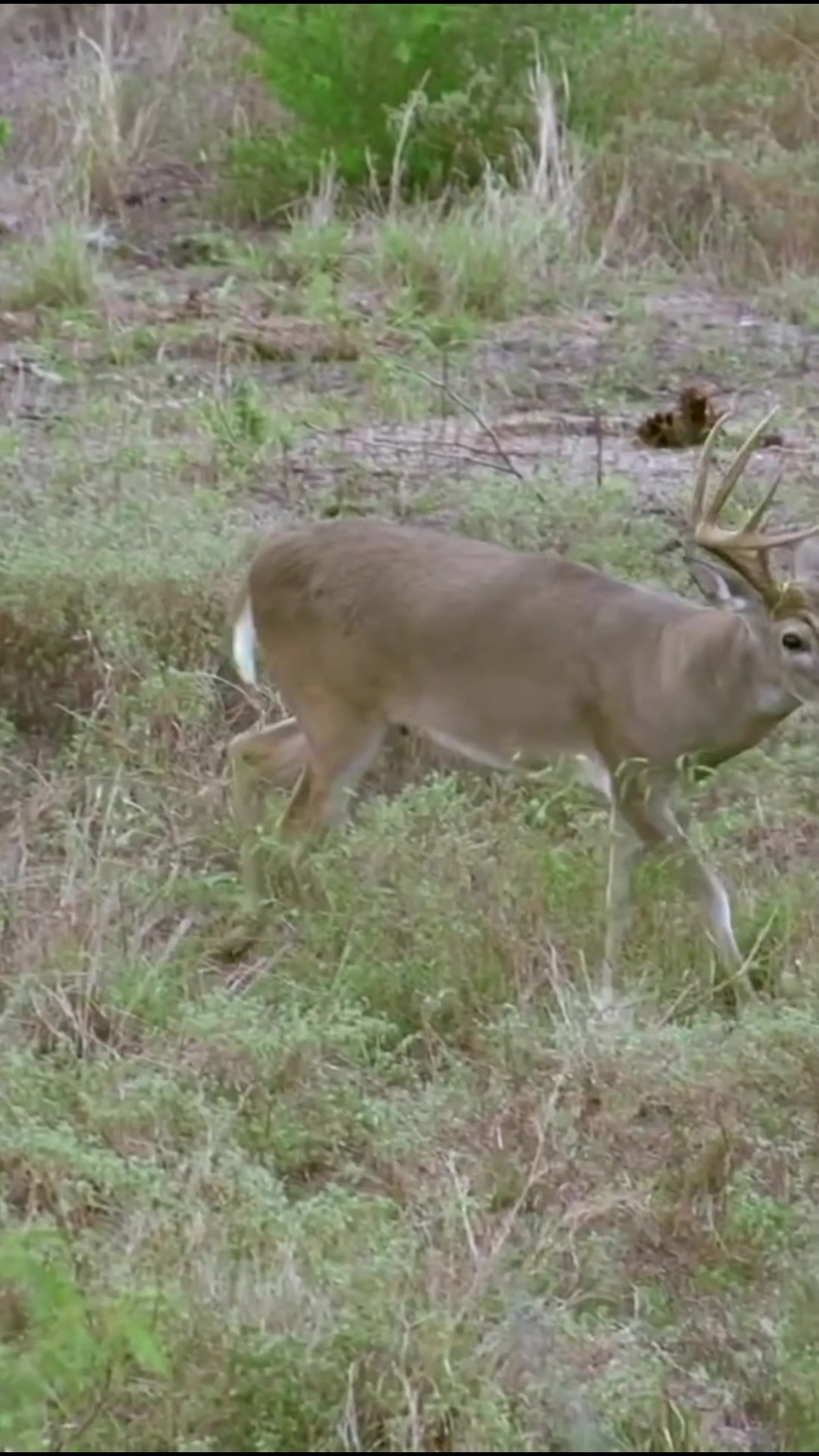 hunting season
