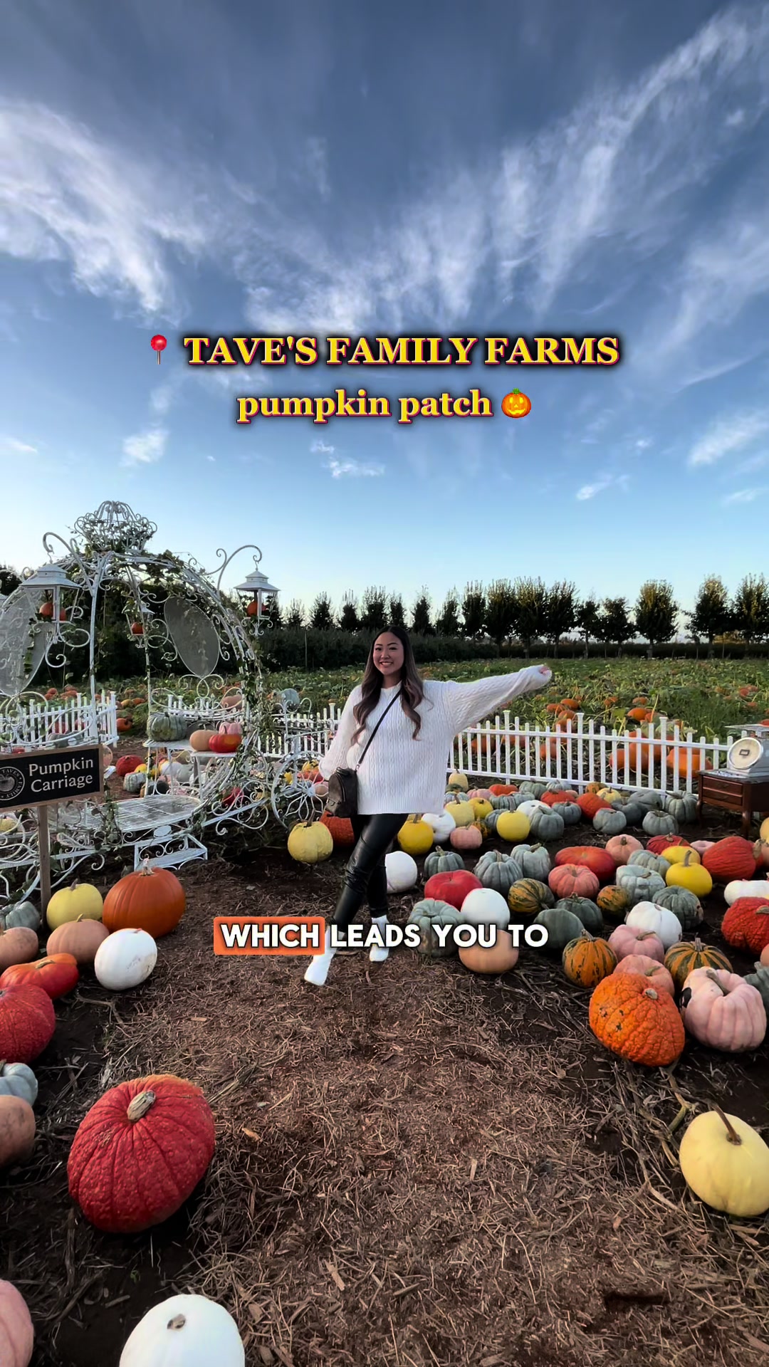 pumpkin patch visit