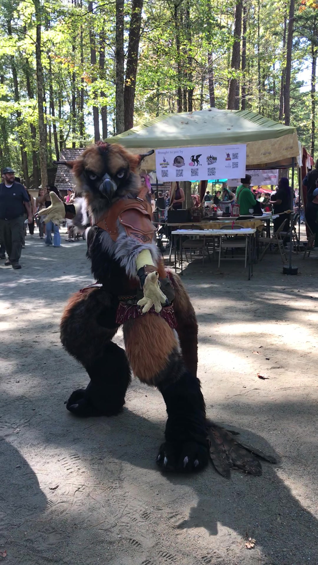 carolina renaissance festival