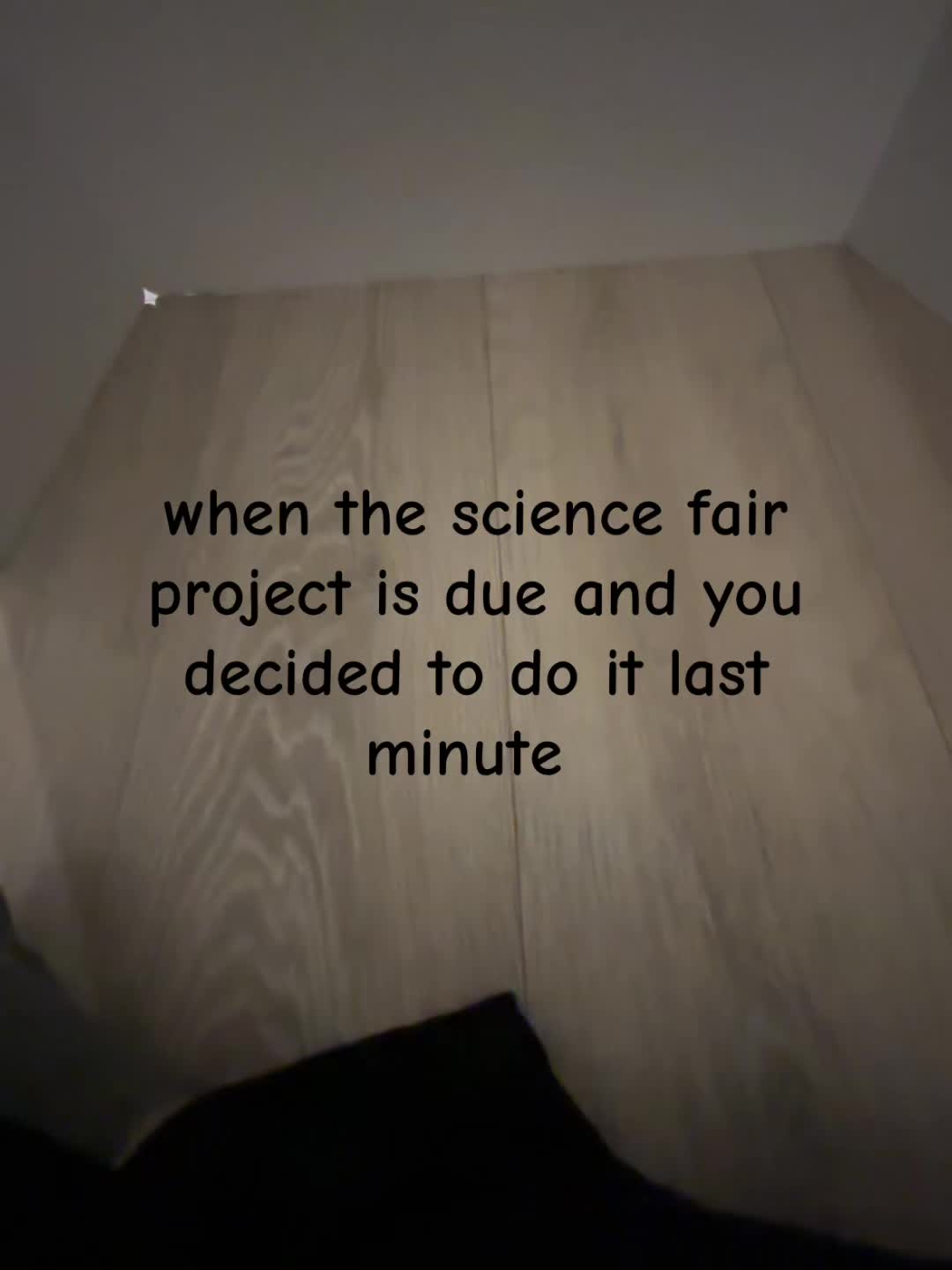 science fair